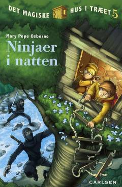 Ninjaer i natten