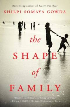 The shape of family : a novel