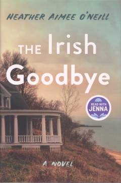The Irish goodbye : a novel