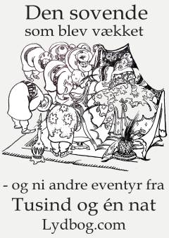 Den sovende som blev vækket - og ni andre eventyr fra Tusind og en nat