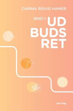 Udbudsret. Bind 1