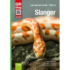 Slanger