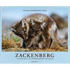 Bog, 2008
