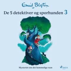 Mysteriet om det hemmelige rum