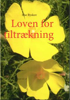 Loven for tiltrækning : den vigtigste naturlov i dit liv