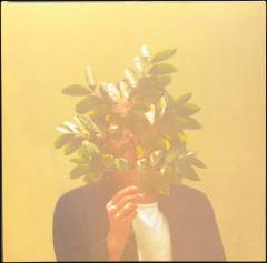 French Kiwi Juice