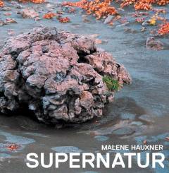 Fra naturlig natur til supernatur : europæisk landskabsarkitektur 1967-2007 set fra Danmark