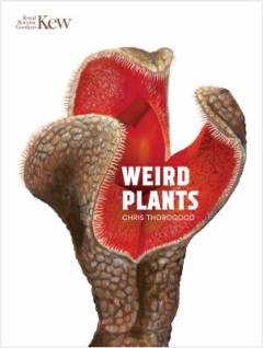 Weird plants
