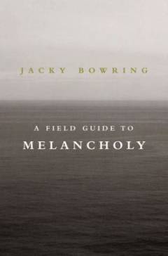 A field guide to melancholy