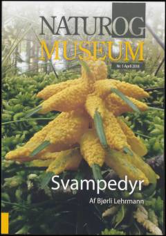 Svampedyr