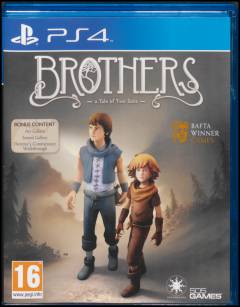 Brothers : a tale of two sons