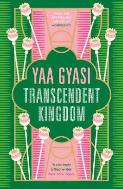 Transcendent kingdom