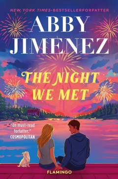The night we met