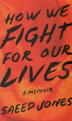 How we fight for our lives : a memoir