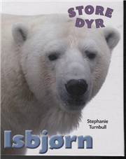 Isbjørn