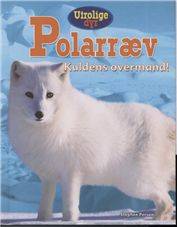 Polarræv : kuldens overmand!