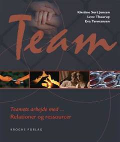 Teamets arbejde med - relationer og ressourcer