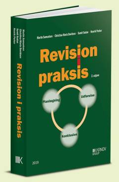Revision i praksis : planlægning, udførelse, konklusion