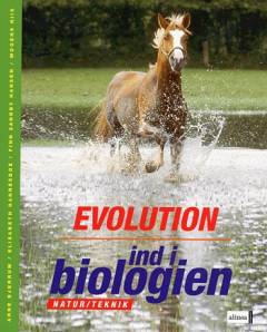 Bog, 1. udgave, 2004