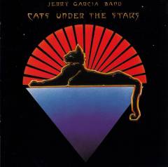 Cats under the stars