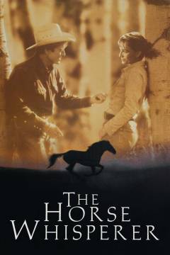 Film (dvd), Special edition, 2003