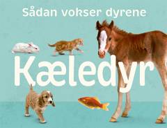 Kæledyr