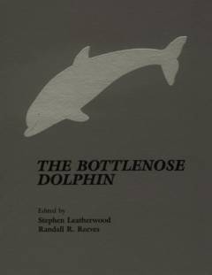 The bottlenose dolphin