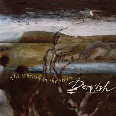 The thrush in the storm