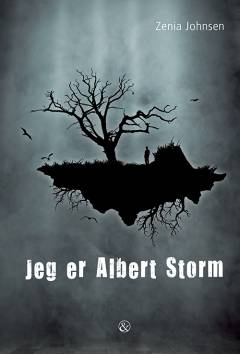 Jeg er Albert Storm : måske en historie