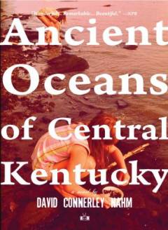 Ancient oceans of central Kentucky : a novel