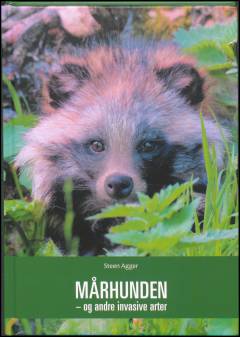 Mårhunden - og andre invasive arter