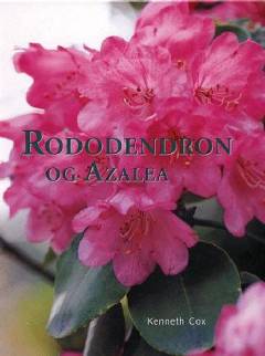 Rododendron og azalea