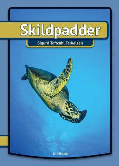 Skildpadder