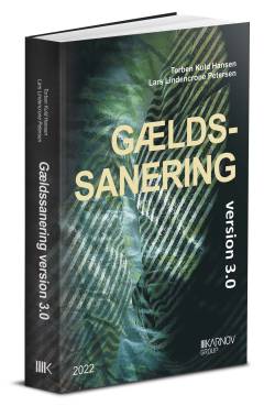 Gældssanering version 3.0