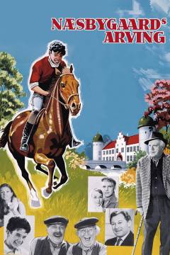Film (dvd), 2014