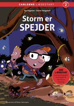 Storm er spejder