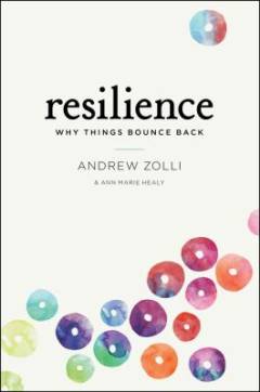 Resilience : why things bounce back