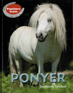 Ponyer