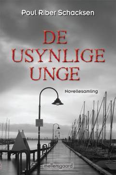 De usynlige unge