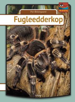 Bog, 1. udgave, 2019