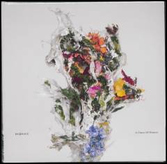 A chaos of flowers