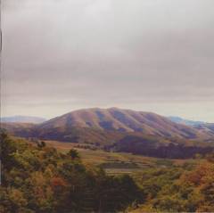 Mount Wittenberg Orca