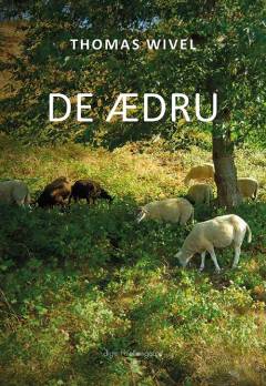 De ædru