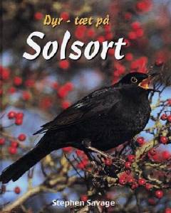 Solsort