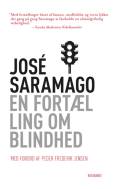 En fortælling om blindhed