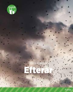 Bog, 1. udgave, 2017