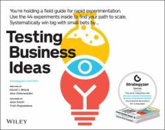 Testing business ideas
