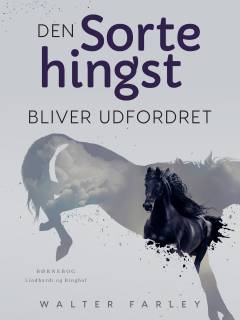 Den sorte hingst bliver udfordret