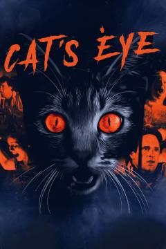 Cat's eye