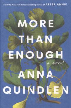 More than enough : a novel